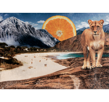 Fototapeta zwierzęta scena lwa na plaży - TenStickers