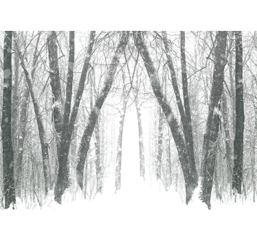 Fototapeta las zaśnieżona leśna ścieżka - TenStickers