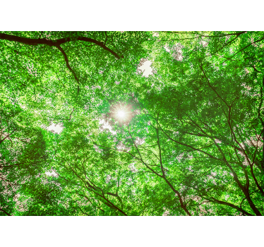 Fototapeta natura widok z korony drzew - TenStickers