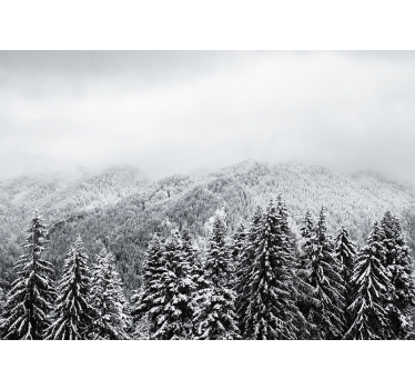 Fototapeta natura zimowy krajobraz leśny - TenStickers