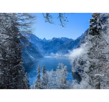 Fototapeta Jezioro i las - TenStickers