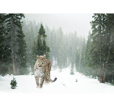 Fototapeta 3d leopard ze zwierzęciem - TenStickers