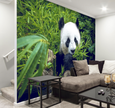 Fototapeta bambus i panda - TenStickers