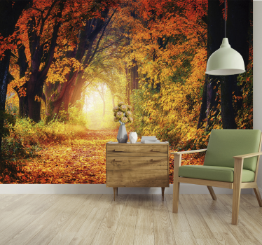 Fototapeta jesienna ścieżka natura las - TenStickers
