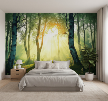 Fototapeta las brzozowy mural w promieniach słońca - TenStickers