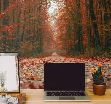 Fototapeta las Ścieżka w jesieni - TenStickers