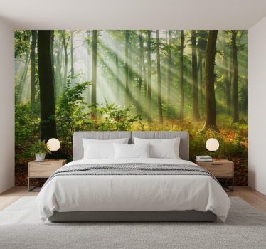 Fototapeta las z naturalnym światłem w lesie - TenStickers