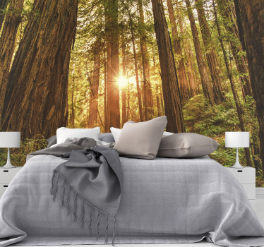 Fototapeta do sypialni mistyczny poranek w lesie - TenStickers