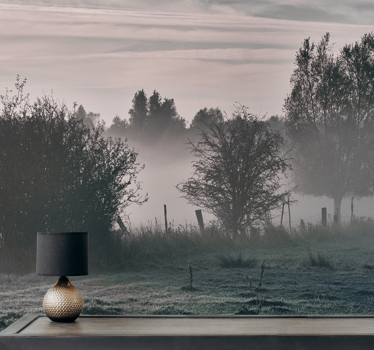 Fototapeta natura mglista leśna sceneria - TenStickers