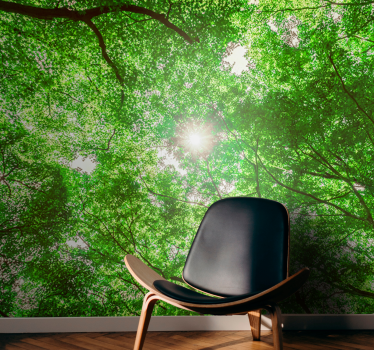Fototapeta natura widok z korony drzew - TenStickers