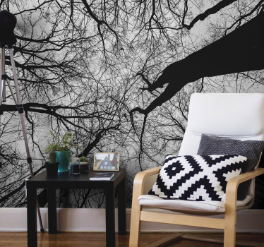 Fototapeta w drzewa silhouetty splątanych gałęzi - TenStickers