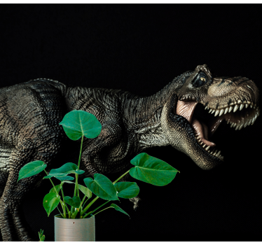 Fototapeta zwierzęta dinozaury i rośliny - TenStickers