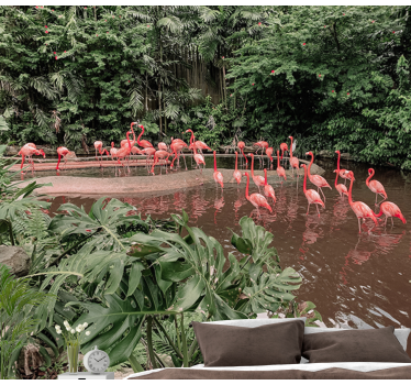Fototapeta zwierzęta flamingi nad wodą - TenStickers