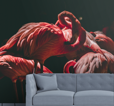 Fototapeta zwierzęta flamingi w spokoju - TenStickers