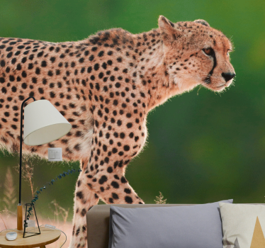 Fototapeta zwierzęta gepard w ruchu - TenStickers