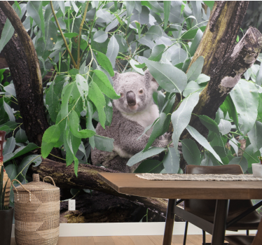 Fototapeta zwierzęta koala w liściach - TenStickers