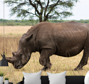 Fototapeta zwierzęta nosorożec na serengeti - TenStickers
