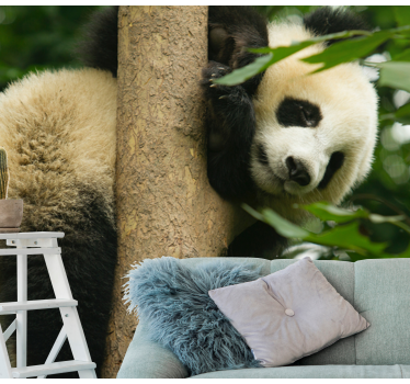 Fototapeta zwierzęta panda wspinająca się na drzewo - TenStickers