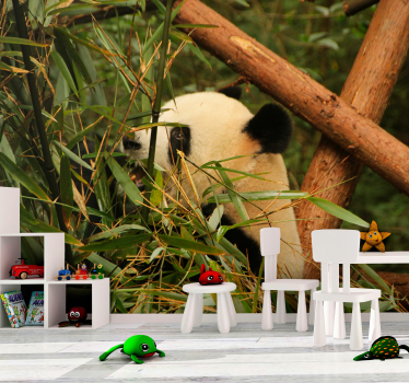 Fototapeta zwierzęta panda wśród bambusów - TenStickers