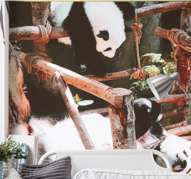 Fototapeta zwierzęta scena zabawy z pandami - TenStickers