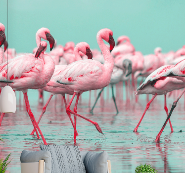 Fototapeta zwierzęta stado flamingów na spacerze - TenStickers