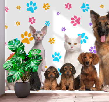 Fototapeta zwierzęta szczęśliwi towarzysze pupili - TenStickers