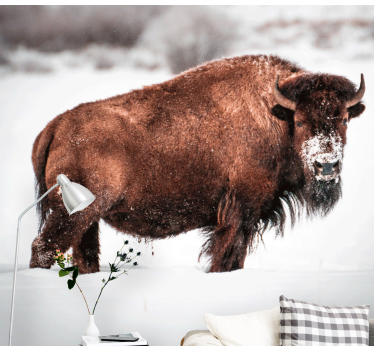 Fototapeta zwierzęta wspaniały bison w stanie - TenStickers