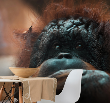 Fototapeta zwierzęta zamyślony wzrok orangutana - TenStickers
