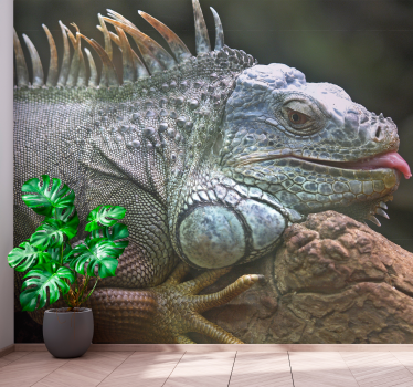 Fototapeta do pokoju młodzieżowego zwierzę Iguana - TenStickers