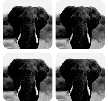 Vintage podstawka pod kubek portrety słoni w monochromie - TenStickers
