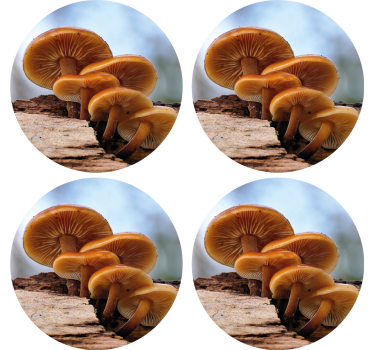 Nowoczesna podkładka pod kubek ułożenie grzybów - TenStickers
