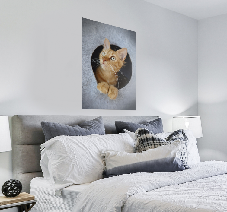 Projekt nadruku plakatu zerkający kot - TenStickers