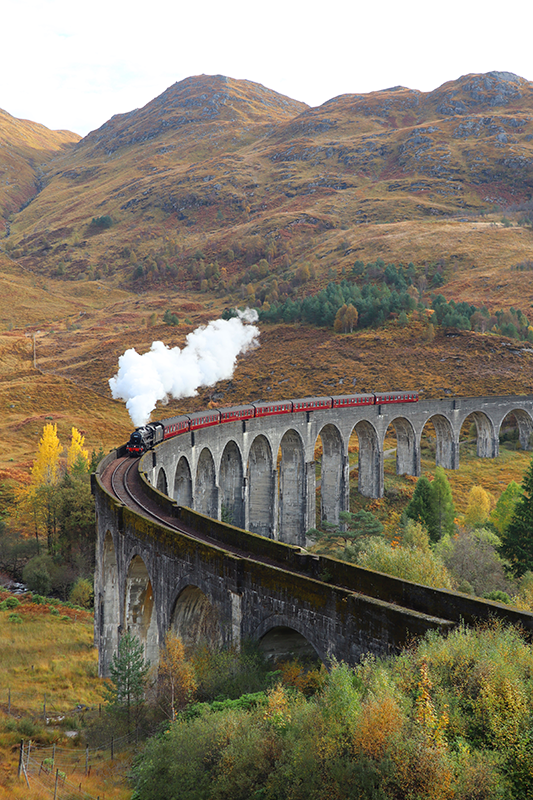 Plakat ze zdjęciem jadący pociąg - TenStickers