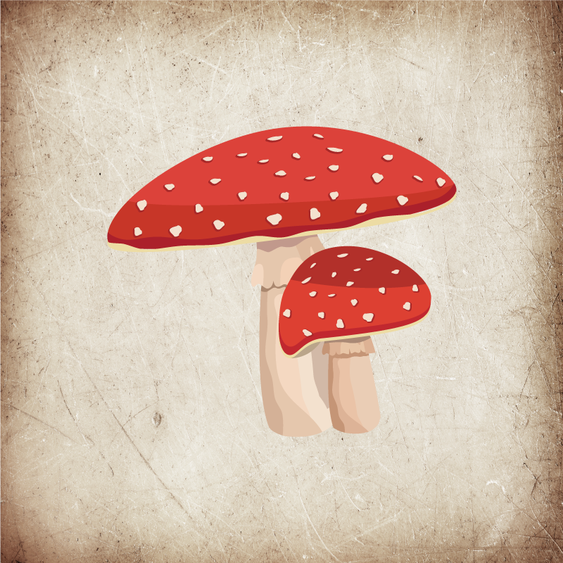 Plakat do kuchni z ilustracją muchomora amanita - TenStickers