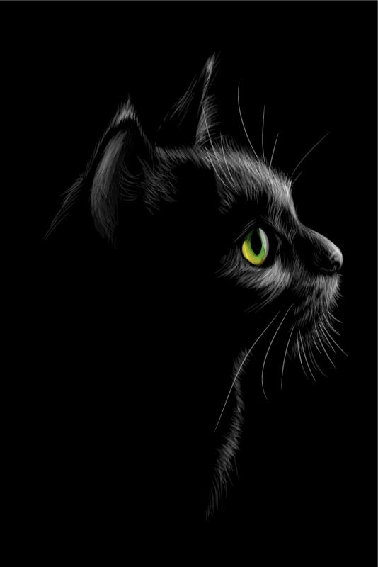 Plakat do salonu zielone oczy kotów - TenStickers