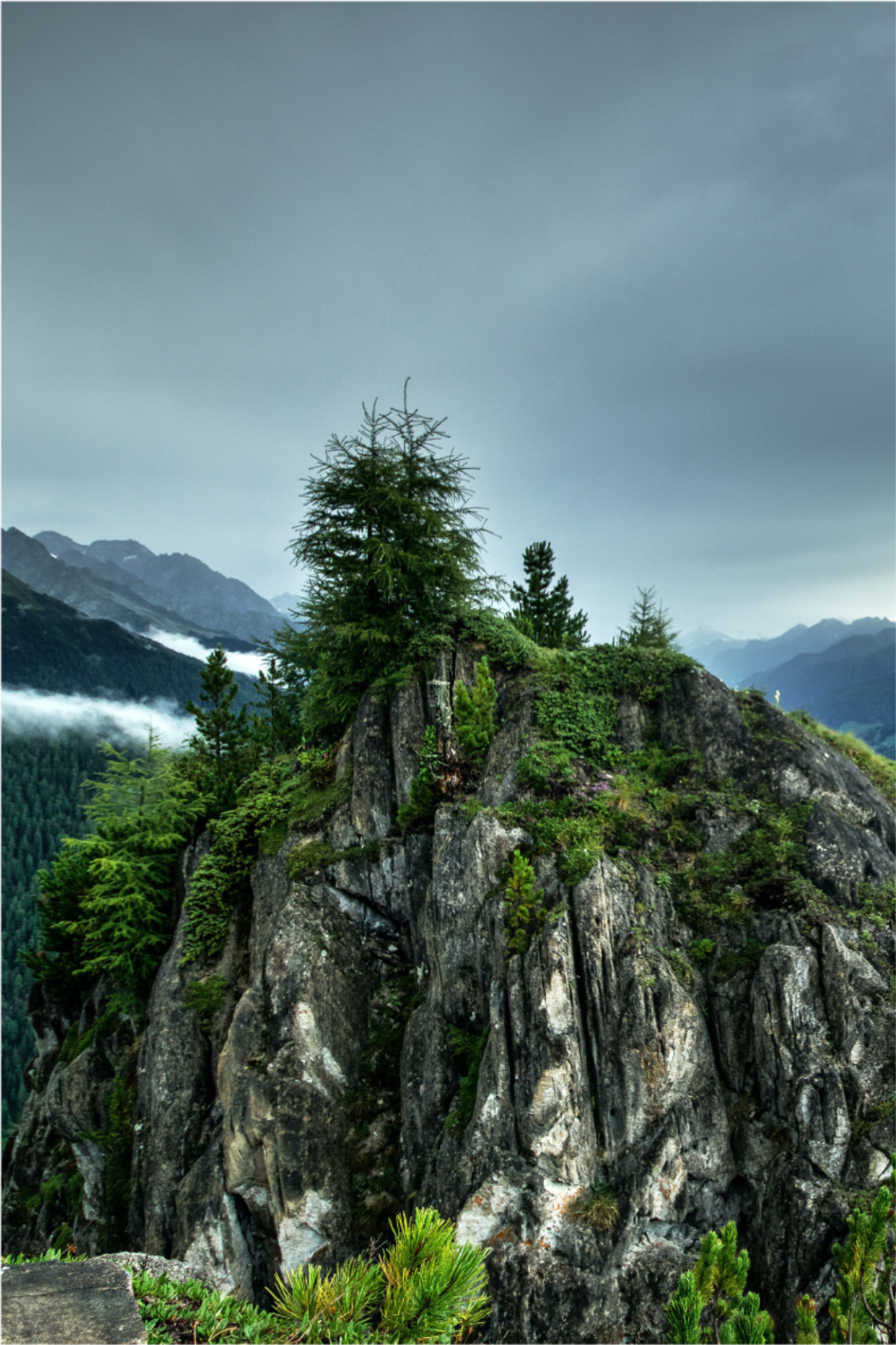 Plakat do salonu pojedynczy kamień w zielonym lesie - TenStickers