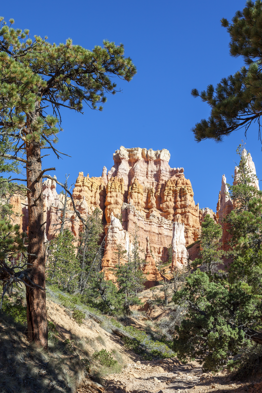 Plakat krajobraz bryce canyon w kolorach natury - TenStickers