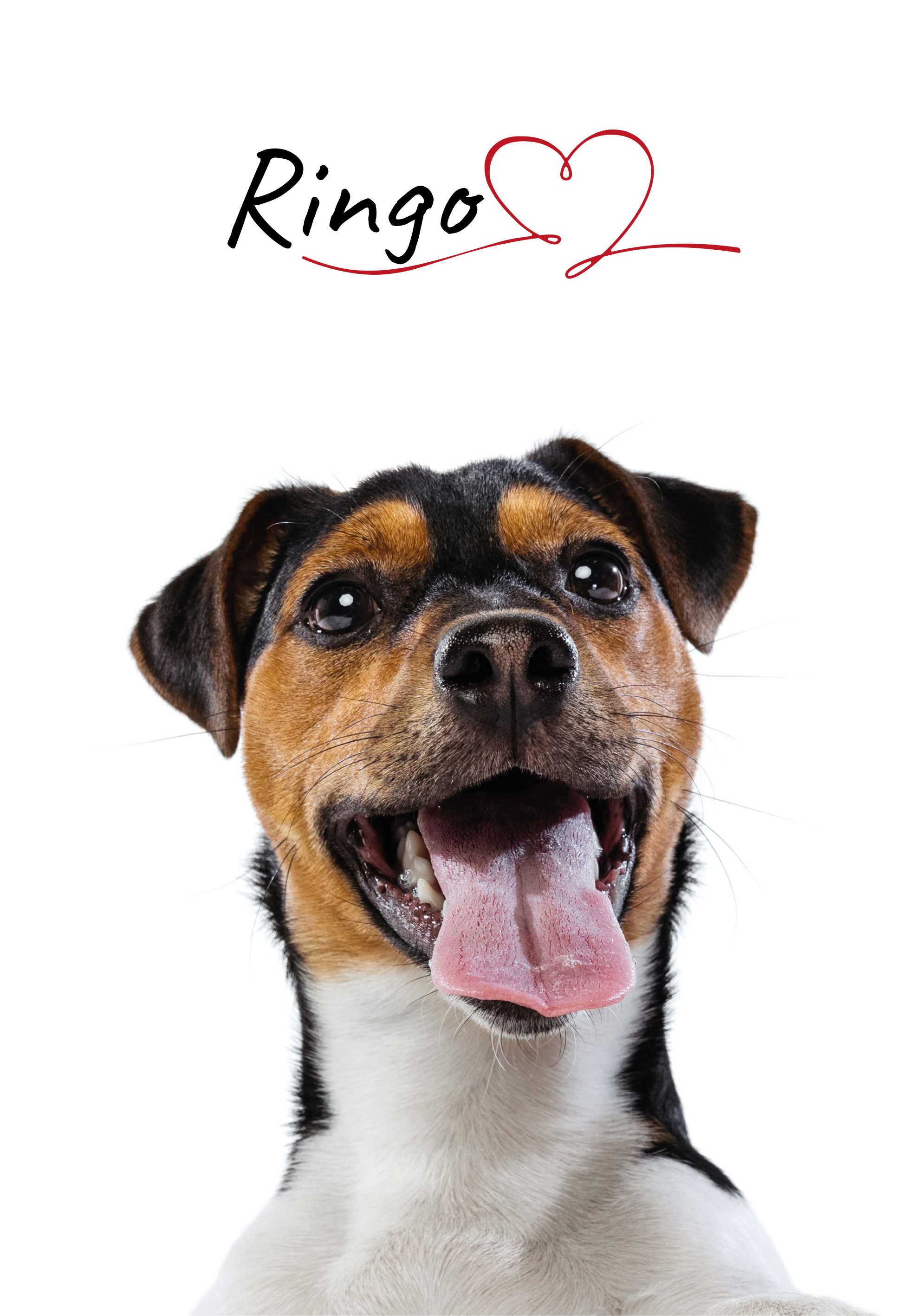 Niestandardowy plakat o miłości do psa na ścianę - TenStickers