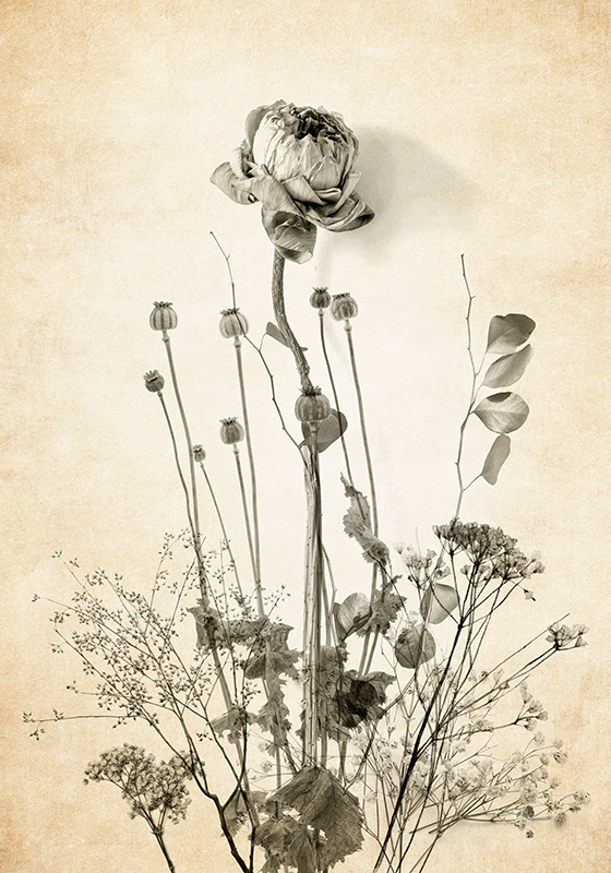 plakat kwiaty bukiet kwiatów na beżowym tle - TenStickers