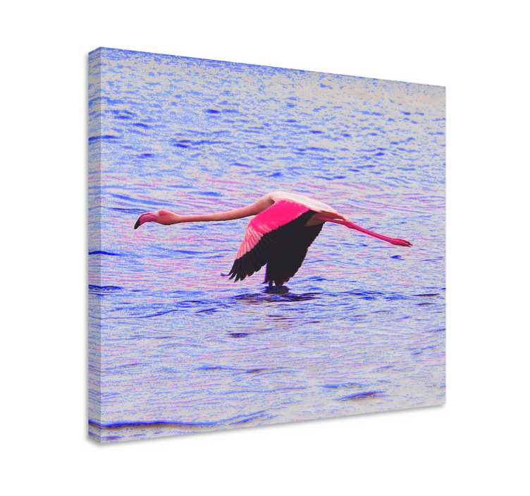 Obraz ryby flamingo w locie - TenStickers