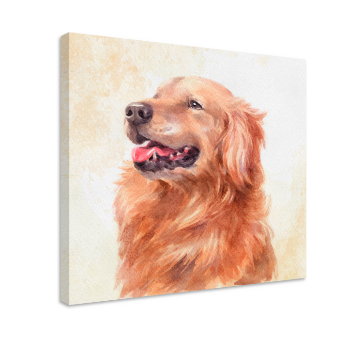 Obraz psy ilustracja golden retriever - TenStickers