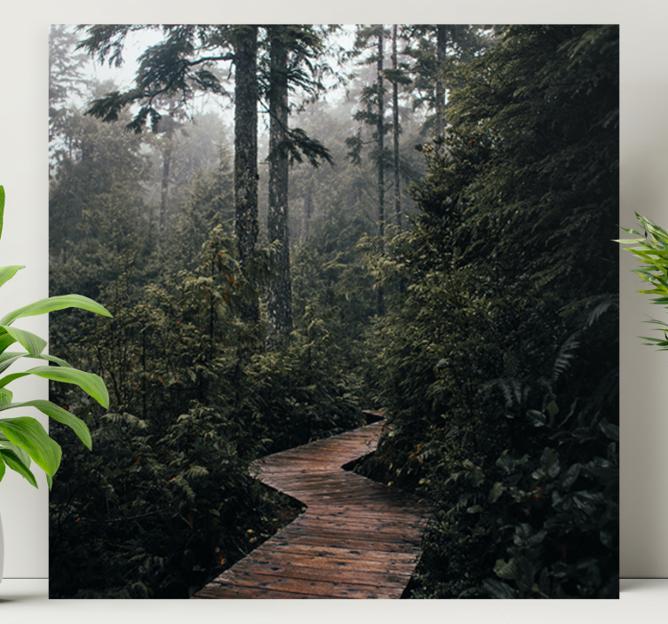 Obraz krajobrazy spokojny leśny szlak - TenStickers