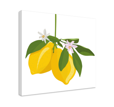 Obraz martwa natura Drzewo cytrynowe - TenStickers