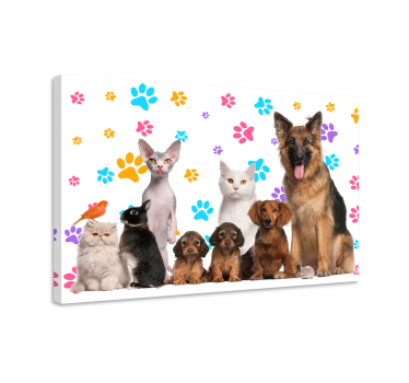 Obraz ze zwierzętami Psy i koty - TenStickers