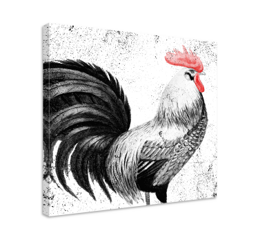 Obraz z ptakami Czarny i czerwony kogut - TenStickers