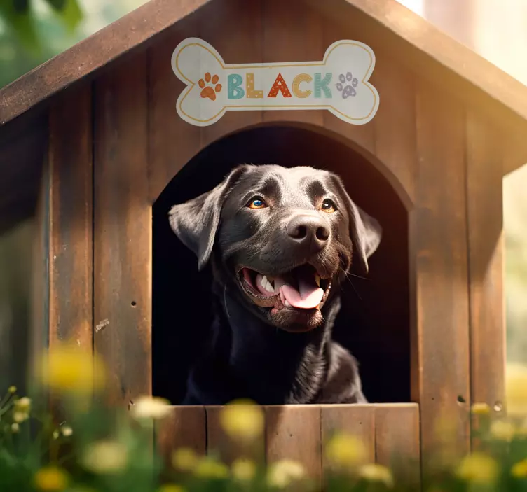 Naklejka dekoracyjna zwierzęta domowe  - TenStickers