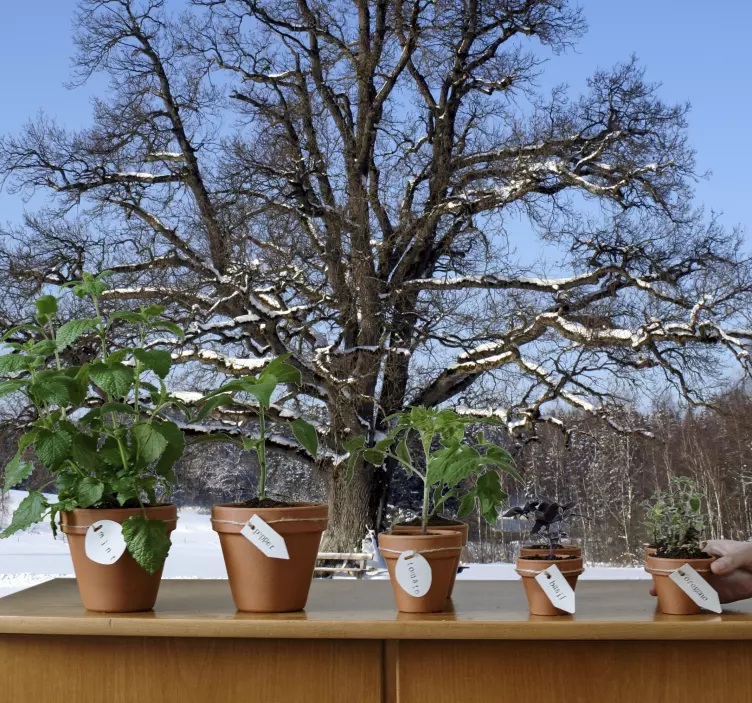 Naklejka na ścianę drzewo zima - TenStickers