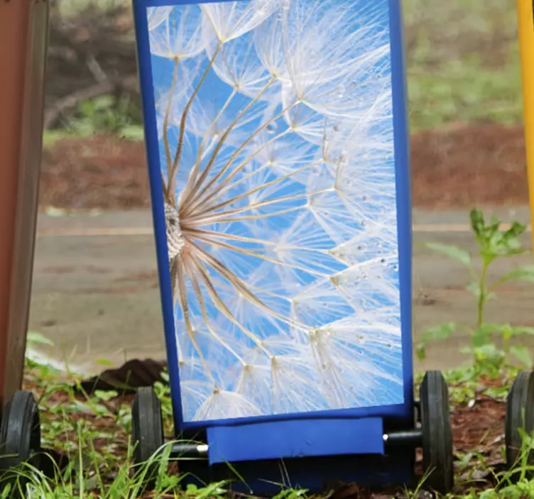 Naklejka na pojemnik szczegół kwiatowy mniszka lekarskiego - TenStickers