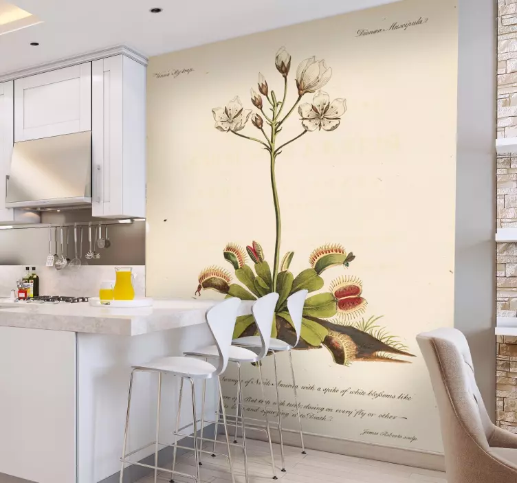 Naklejka na ścianę roślina vintage - TenStickers