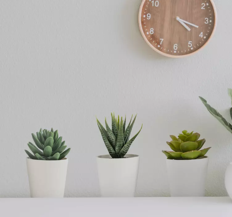 Naklejka na ścianę 3d rośliny kwiaty - TenStickers